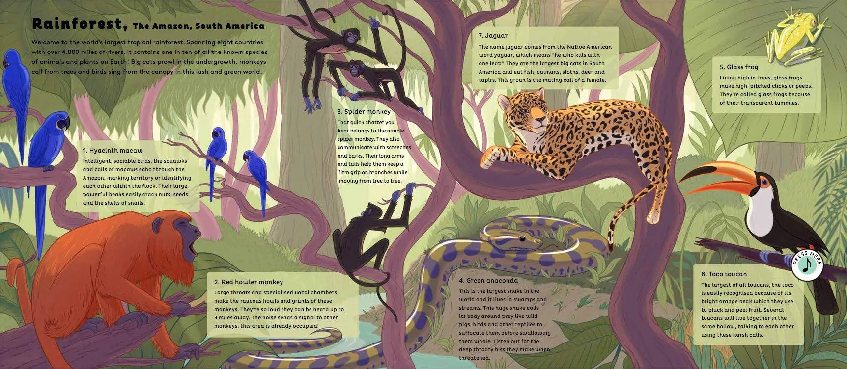 Sounds of Nature: World of Forests - Hardcover